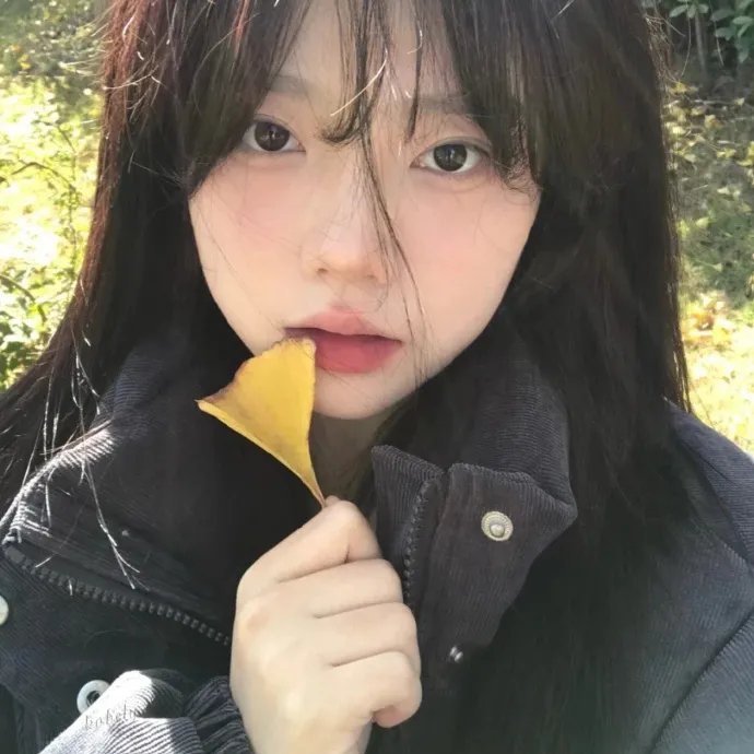 斑马头