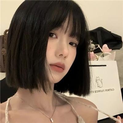 企鹅之岛：福克兰